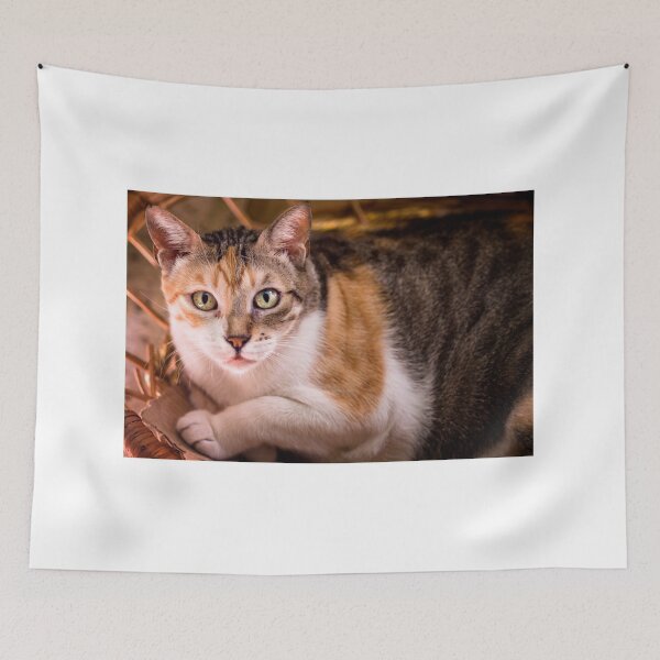 Item preview, Gotch Ya! designed and sold by Ferritography.