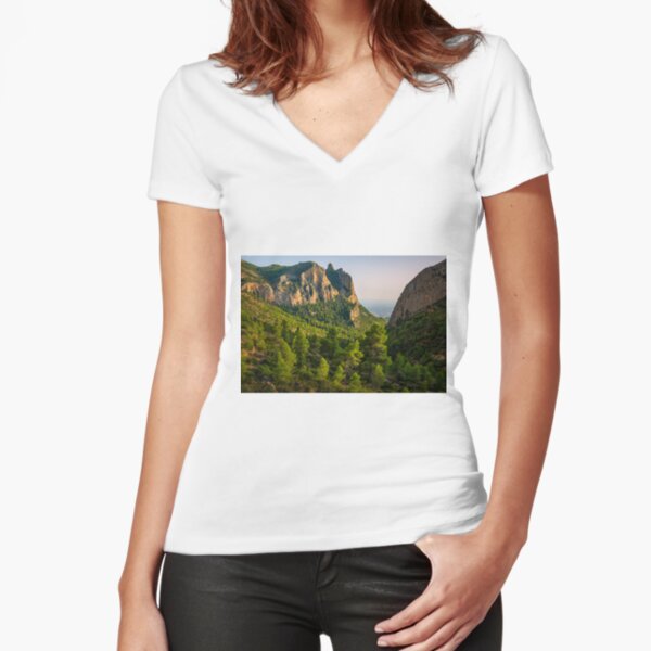 Fitted V-Neck T-Shirt