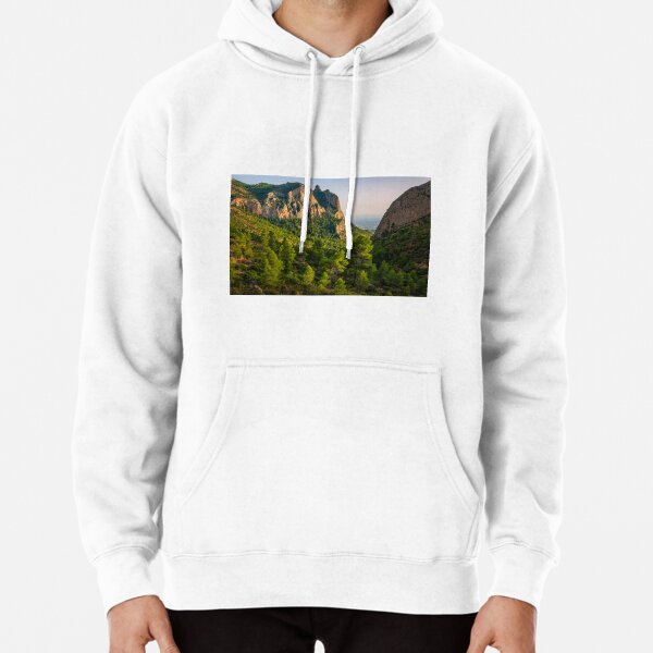 Hoodie (Pullover)