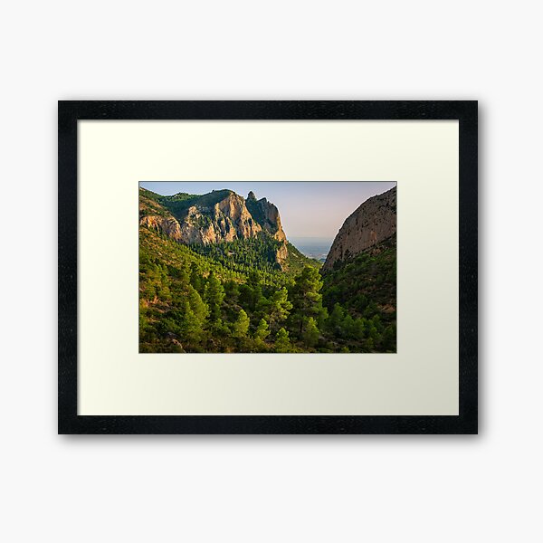 Framed Print