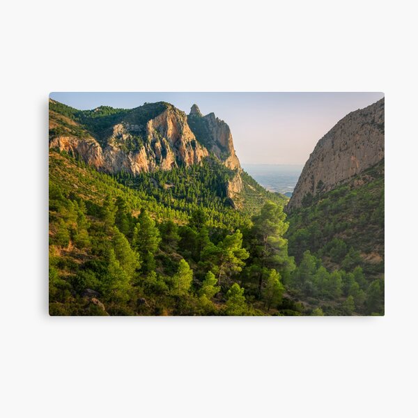 Metal Print