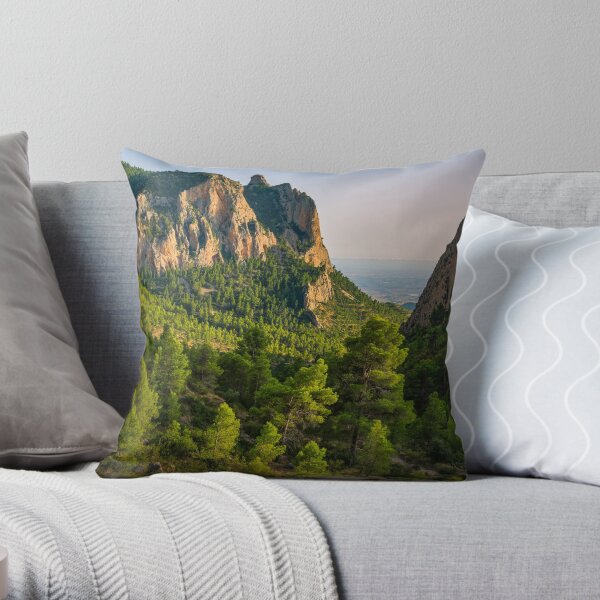 Throw Pillow
