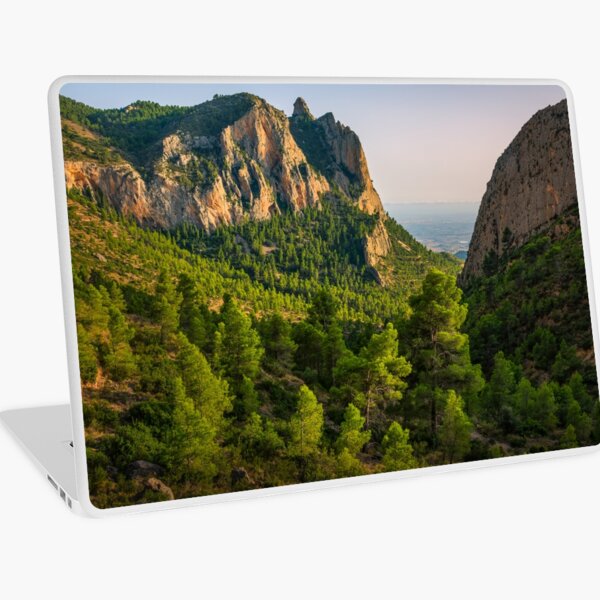 Macbook Air 13" (2015)