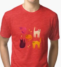 grumpy cats 1 Tri-blend T-Shirt