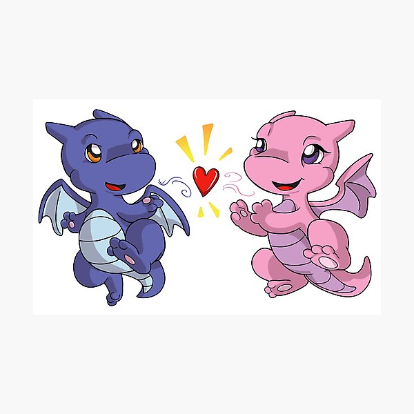 Dragon Couple Photographic Print