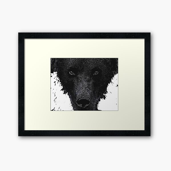 Bear Stare Framed Art Print
