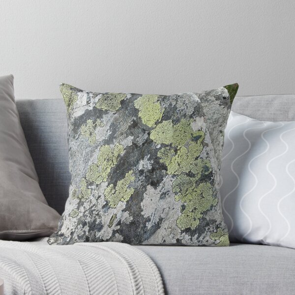Item preview, Liquen verde sobre piedras blancas y grises designed and sold by Sinemathk.