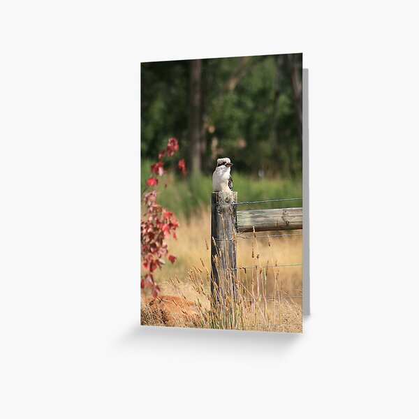The Lookout Greeting Card