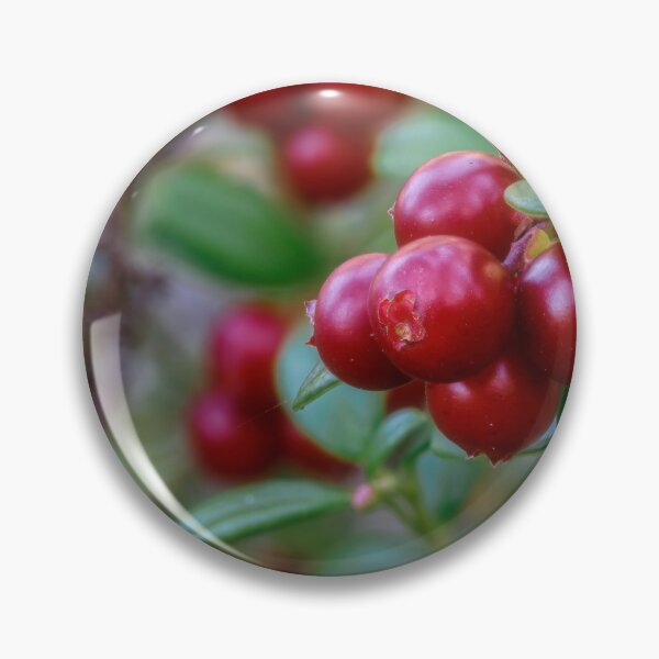 Artikelvorschau, Preiselbeeren entworfen und verkauft von Veikko Suikkanen.