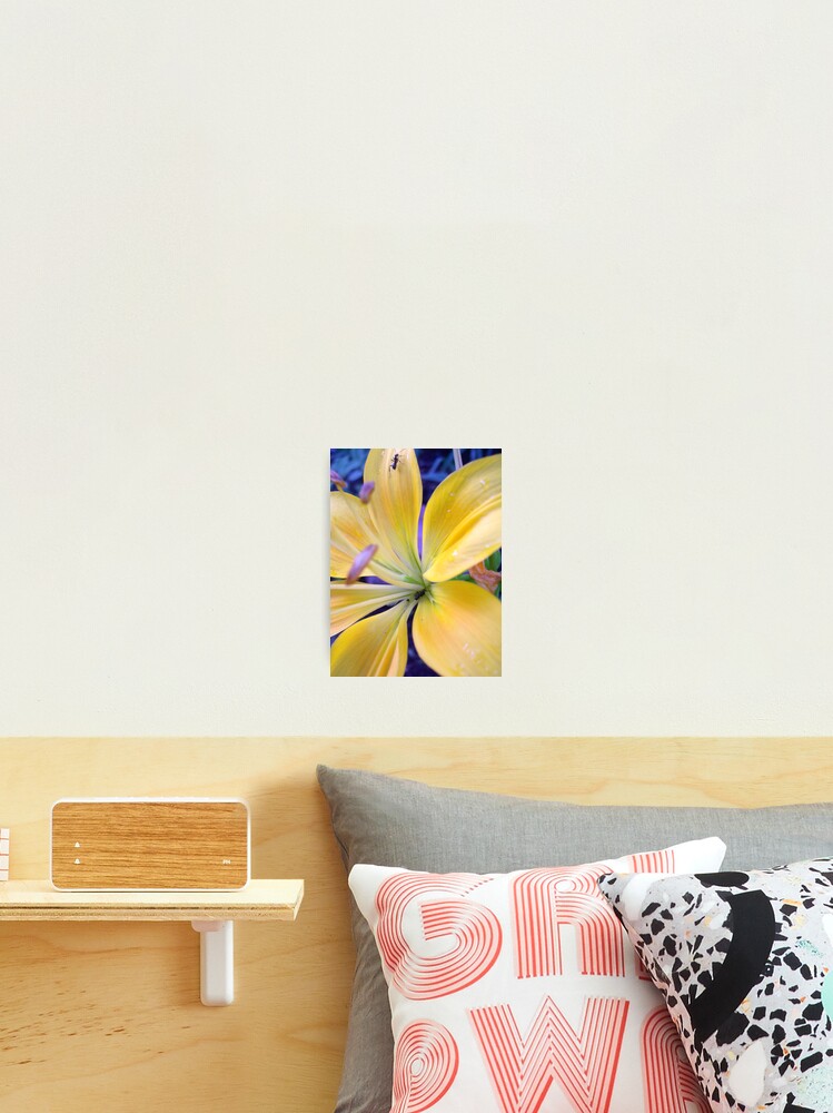 Thumbnail 2 of 3, Photographic Print, designed and sold by RaveNLee.