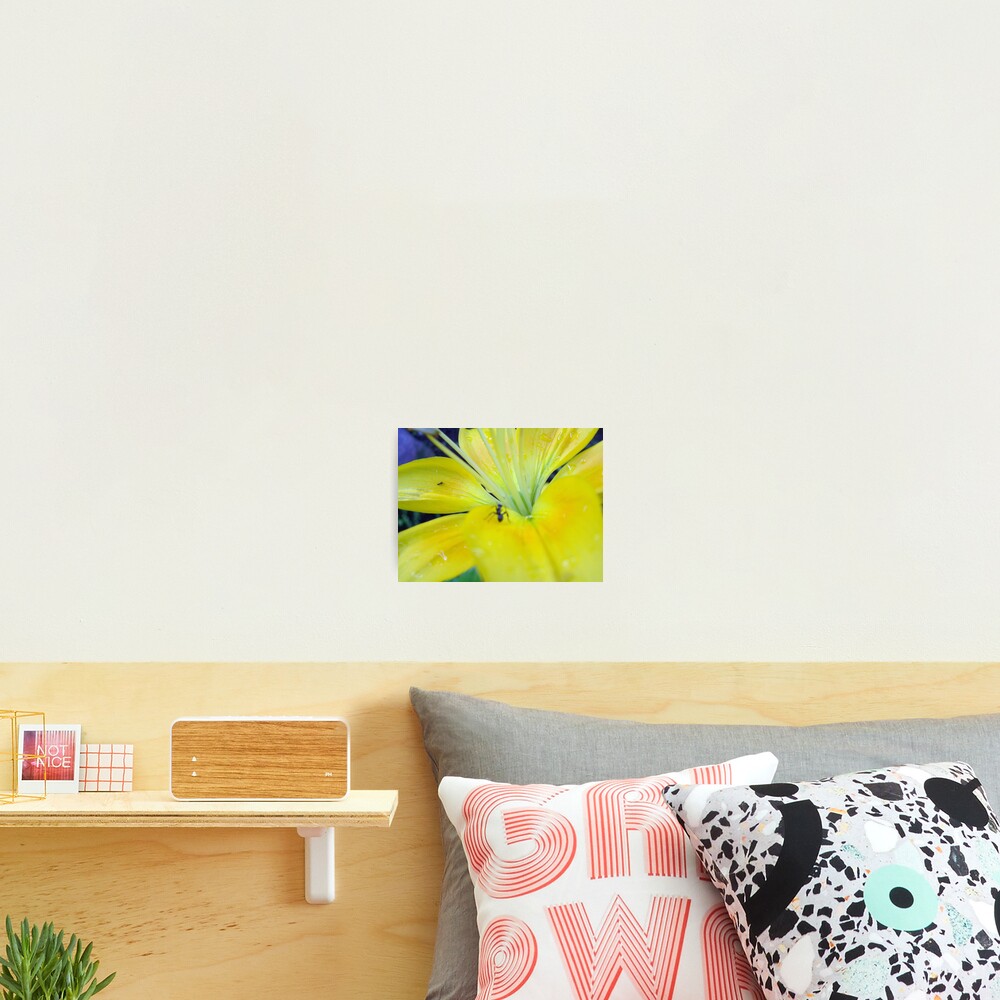 Item preview, Photographic Print designed and sold by RaveNLee.