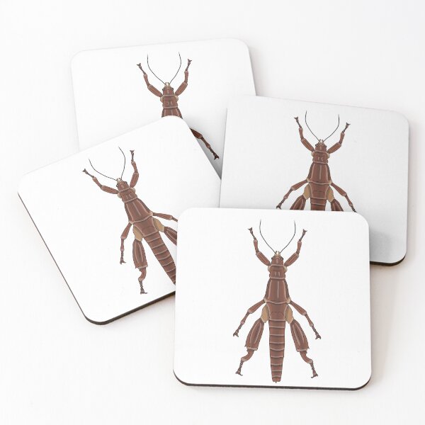 Item preview, Male Lord Howe stick insect (Dryococelus australis) designed and sold by Artbychb.