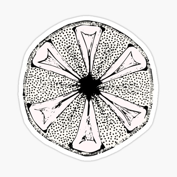 Diatom Sticker