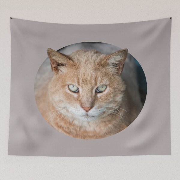 Item preview, Ollie designed and sold by Bonnie T.  Barry.