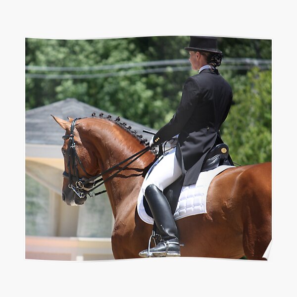 Horse Art Of Dressage Equestrian Event Vintage Poster Reproduction FREE SHIP