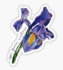 esse quam videri Sticker
