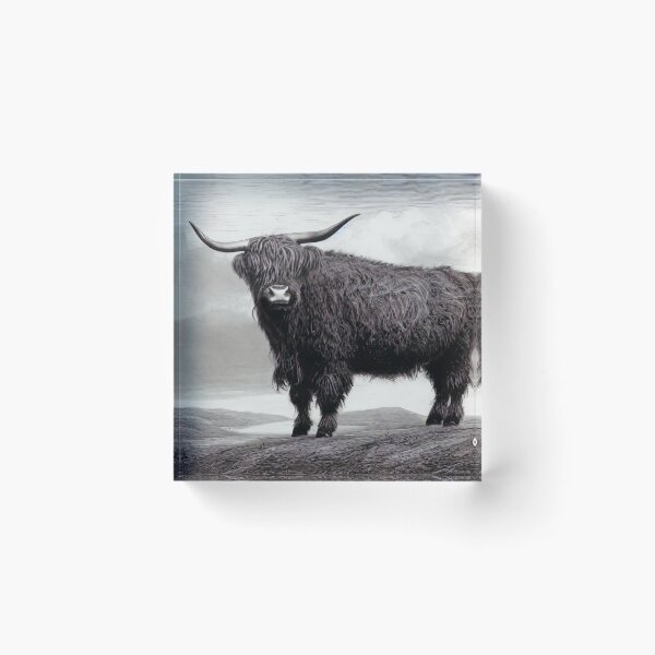 Item preview, Highland cow designed and sold by Guy Christophe Tixier.