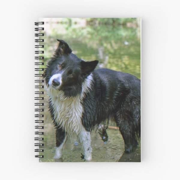 Item preview, Can’t we go back to page one and do it all over again? designed and sold by Michael Haslam.