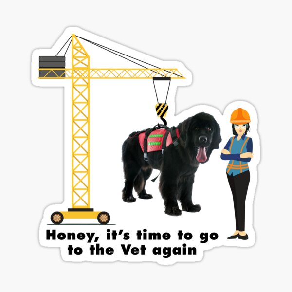 Honey Its time to go to the Vet again Sticker