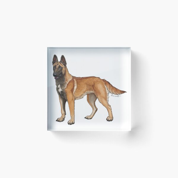 Item preview, Malinois (Golden Fawn) designed and sold by strawberriewoof.