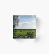 Jade green dyke landscape Acrylic Block