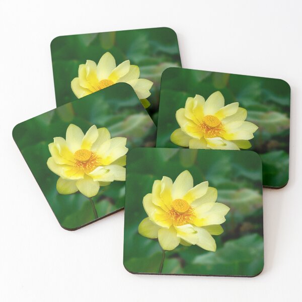 Item preview, Yellow American Lotus Flower designed and sold by Kathy Weaver.
