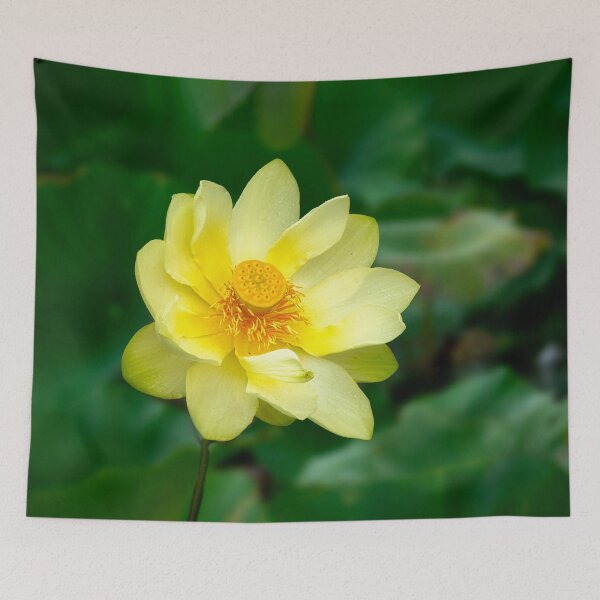 Item preview, Yellow American Lotus Flower designed and sold by Kathy Weaver.