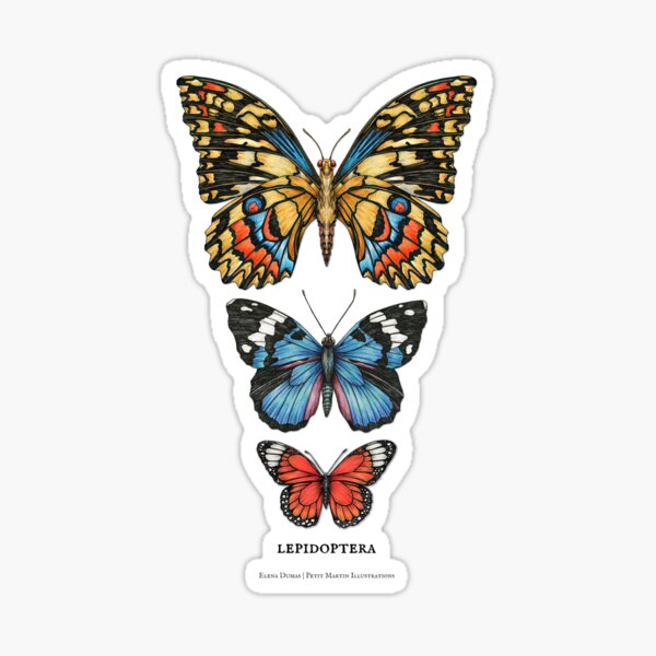 Item preview, Texte de machine à écrire vintage papillon lépidoptères designed and sold by PetitMartin.