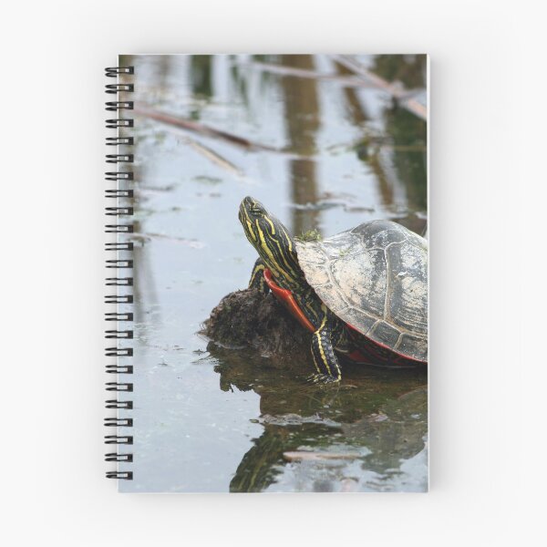 Item preview, Painted Turtle Reflection designed and sold by rhamm.