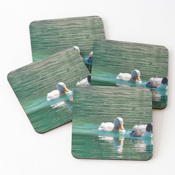 Item preview, Feathered Friends designed and sold by OnigiriSuiko.