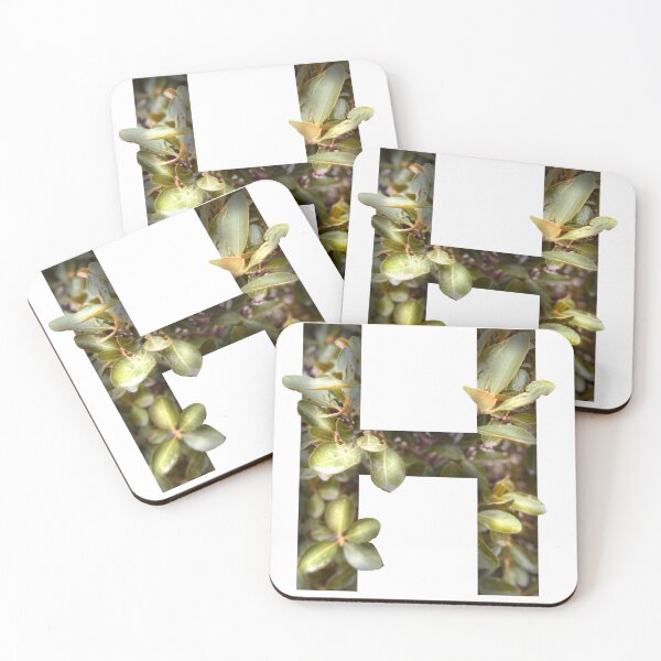 Artikelvorschau, Blumenbuchstabe H. entworfen und verkauft von Moniartprints.