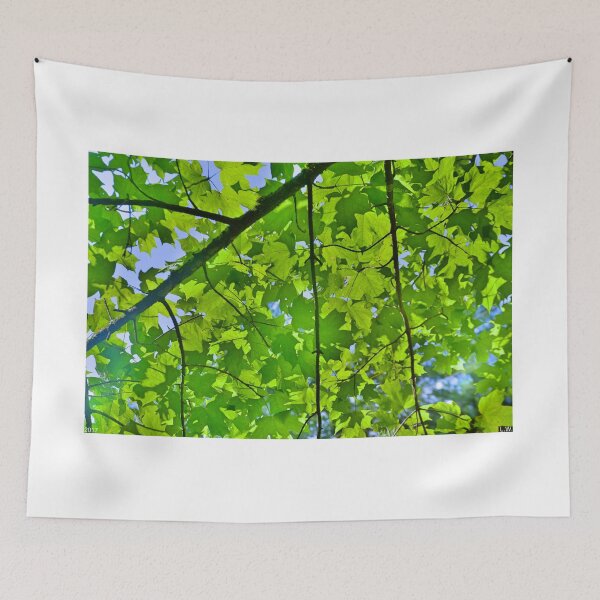 Item preview, Canopy Of Leaves designed and sold by LisaWootenPhoto.