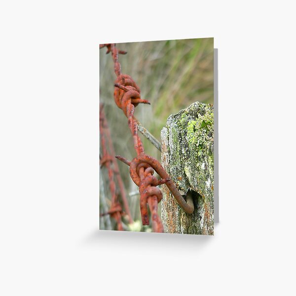 Barbed Wire & Moss Greeting Card