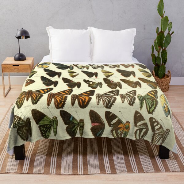 Item preview, Vintage Butterfly Species Diagram designed and sold by BravuraMedia.