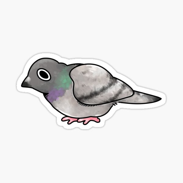 Pidge Sticker