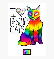 I (Heart) Rescue Cats Photographic Print