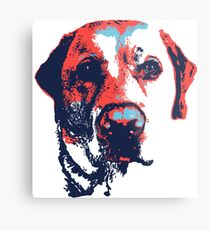 Lámina metálica Labrador patriótico