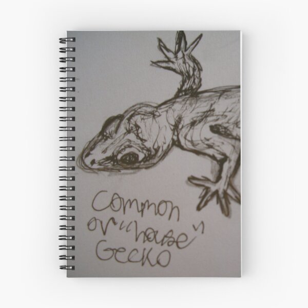 Item preview, Common or House Gecko (Sketch) designed and sold by SkylarMuller.