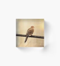 Lovey Dovey in the Morn Acrylic Block