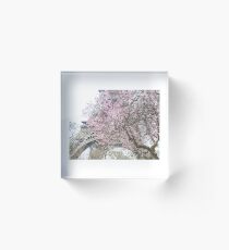 Springtime in Paris Acrylic Block
