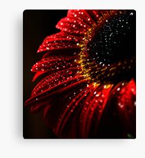 Beauty Canvas Print