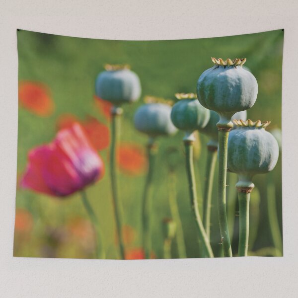 Item preview, Wild Poppy Heads designed and sold by grumpyteds.