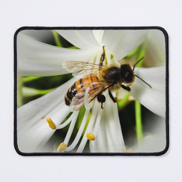 Item preview, Bee at work designed and sold by indiafrankk.