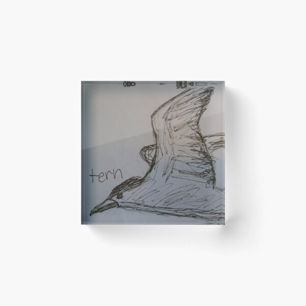 Item preview, Tern (Sketch) designed and sold by SkylarMuller.