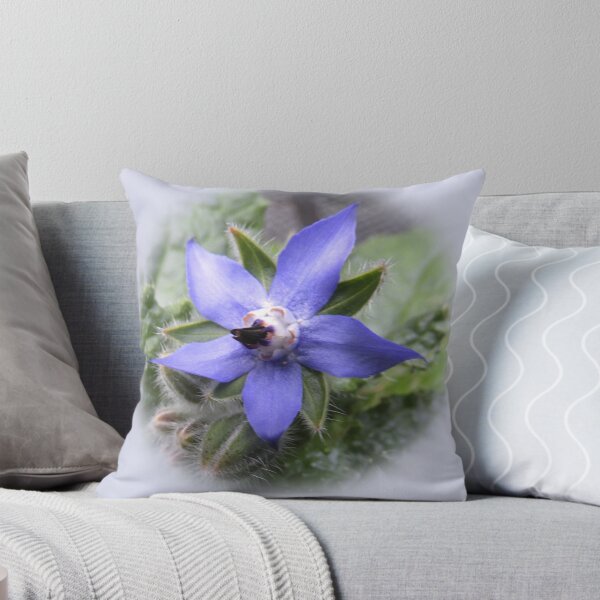 Item preview, Single borage designed and sold by indiafrankk.