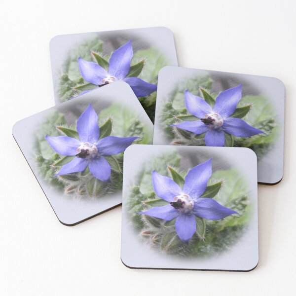 Item preview, Single borage designed and sold by indiafrankk.