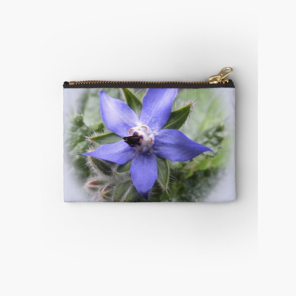 Item preview, Single borage designed and sold by indiafrankk.