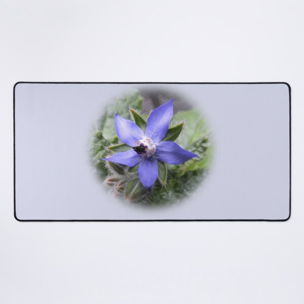 Item preview, Single borage designed and sold by indiafrankk.