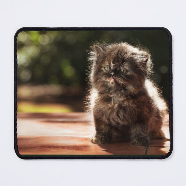 Item preview, ...and whiskers on kittens... designed and sold by micklyn.