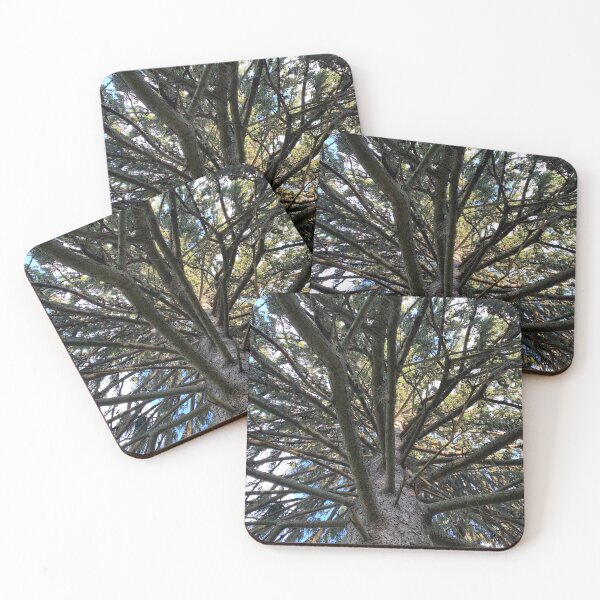 Item preview, Looking Up.   designed and sold by Rjsmommy23.